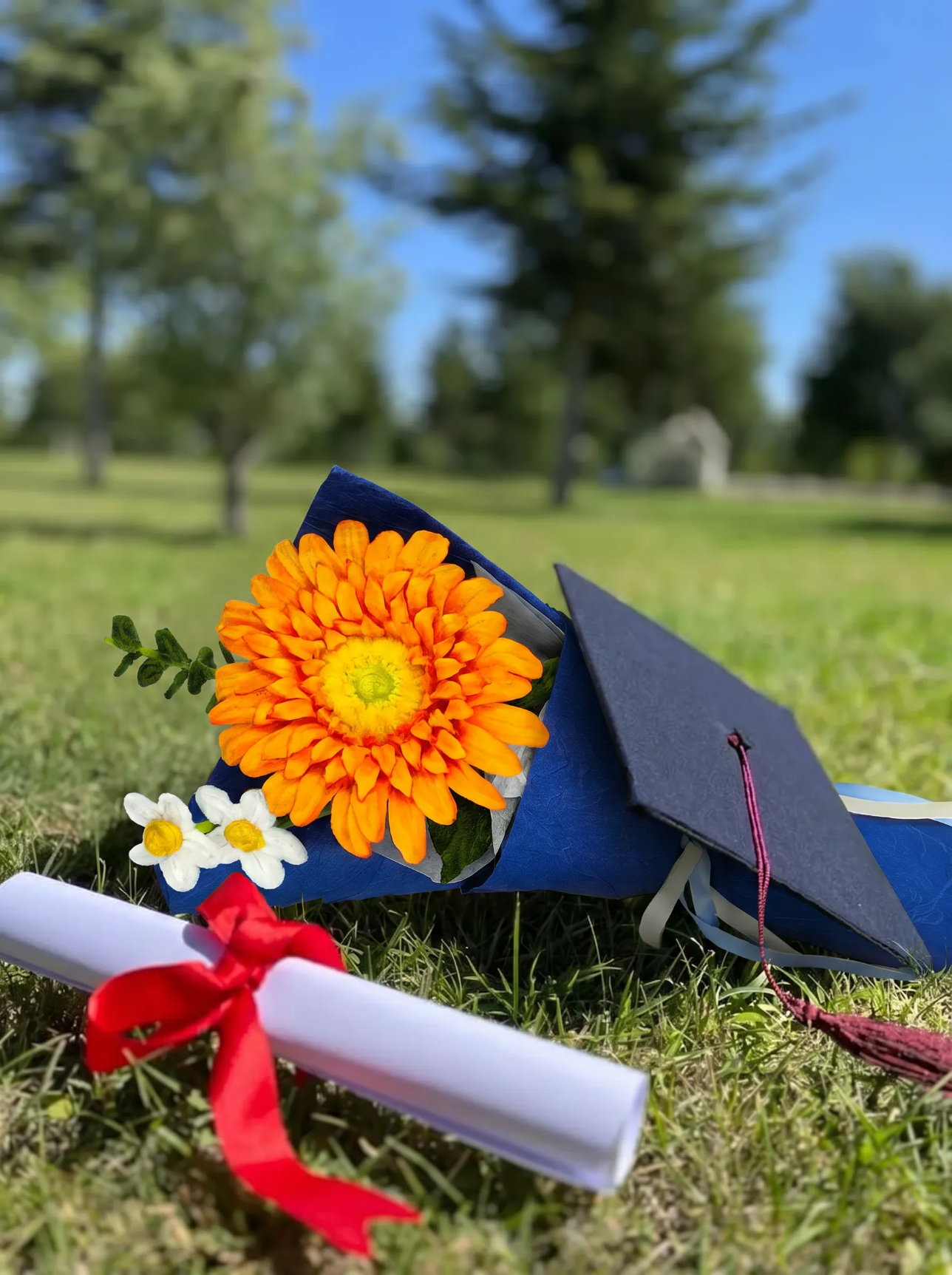 Graduation Season